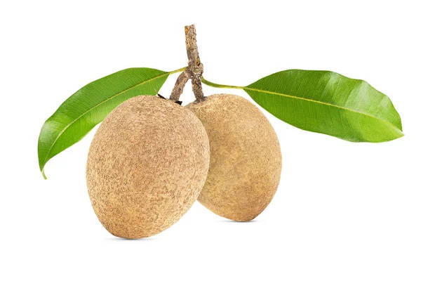 Two Sapodilla Fruits With Leaves Wallpaper