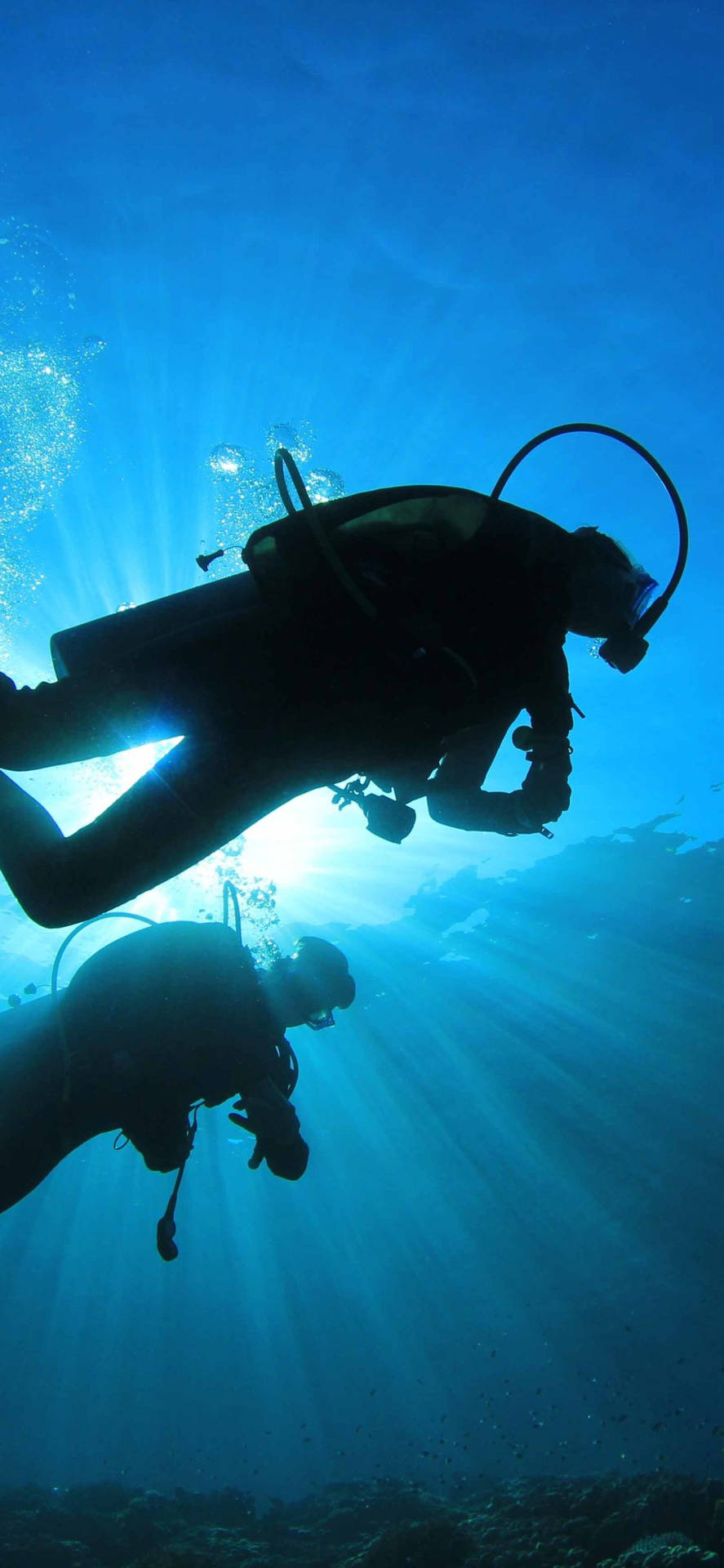 Two Scuba Divers Diving Silhouettes Wallpaper