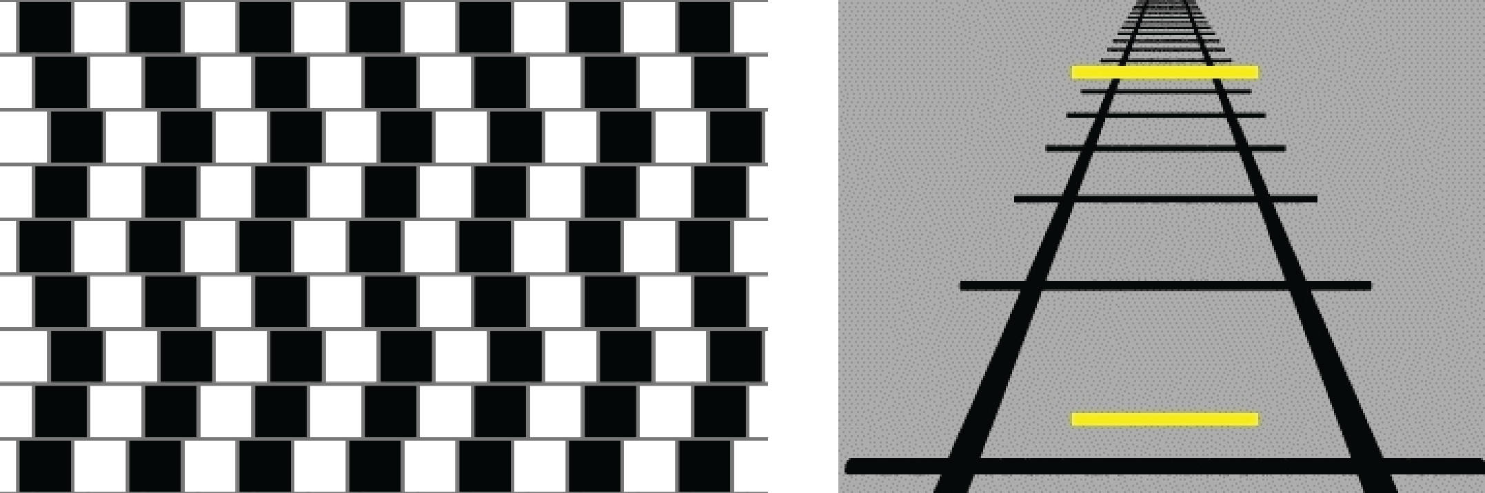 Two Sets Of Ambiguous Optical Illusions Wallpaper