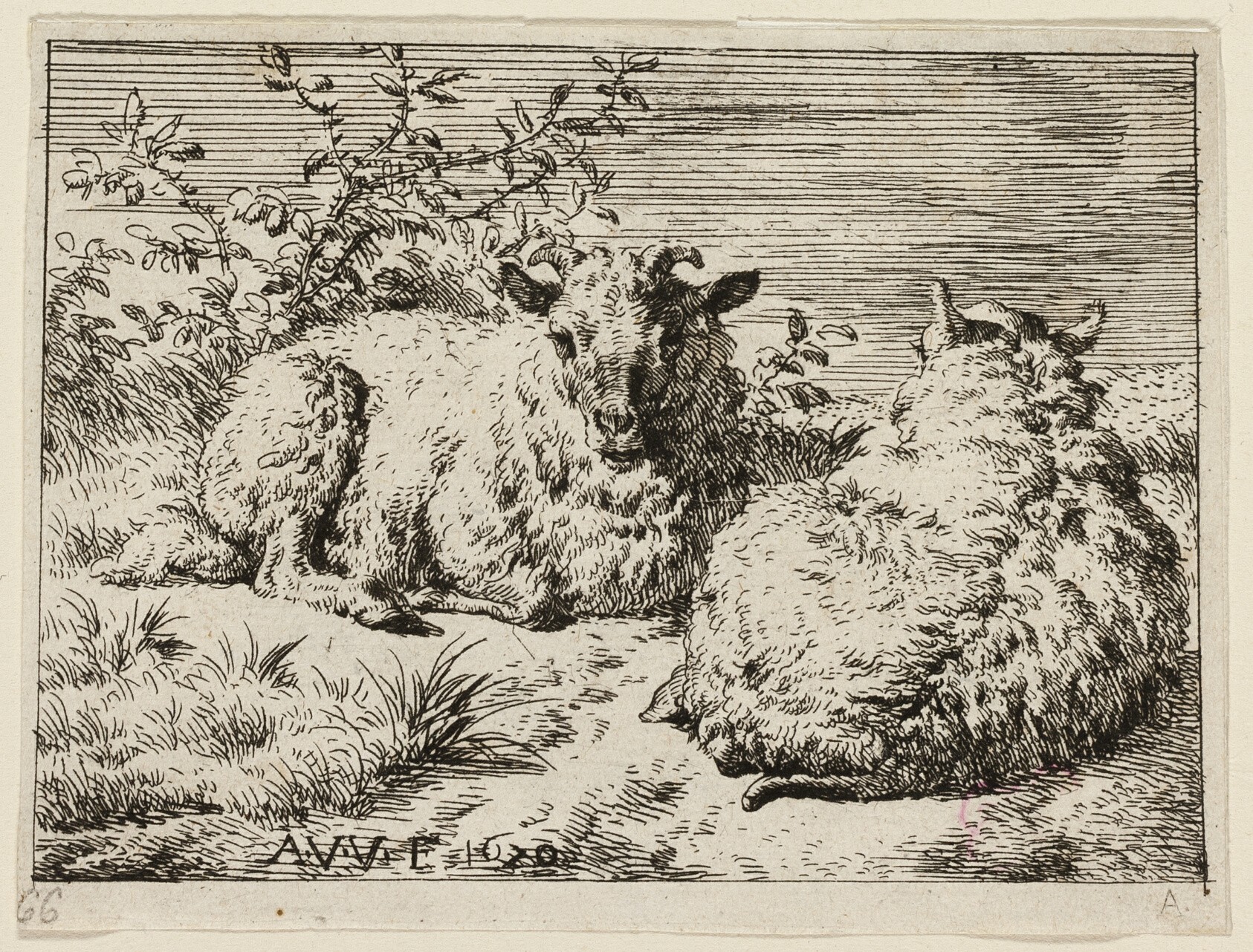 Two Sheep Wallpaper
