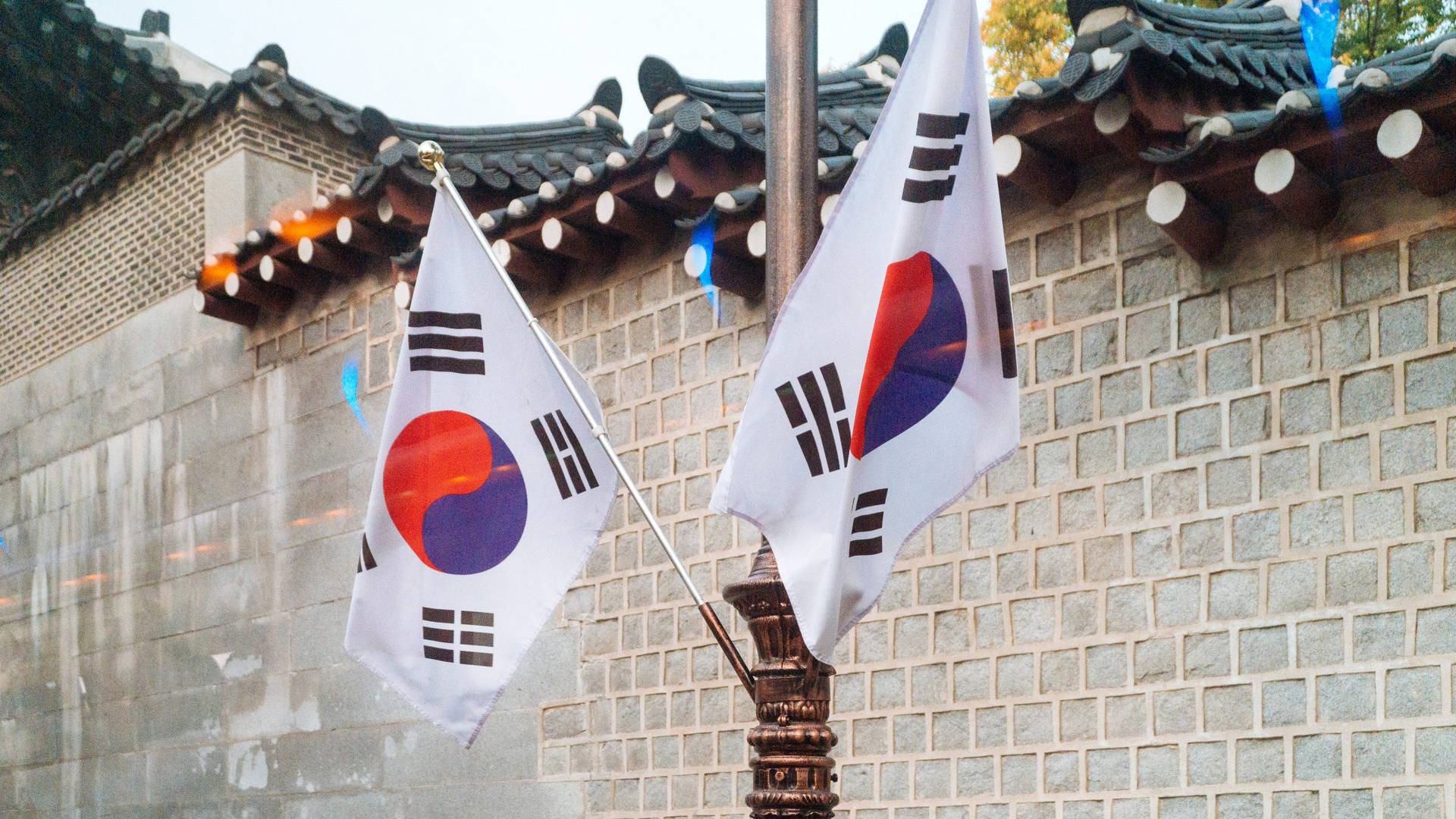 Two South Korean Flags Background