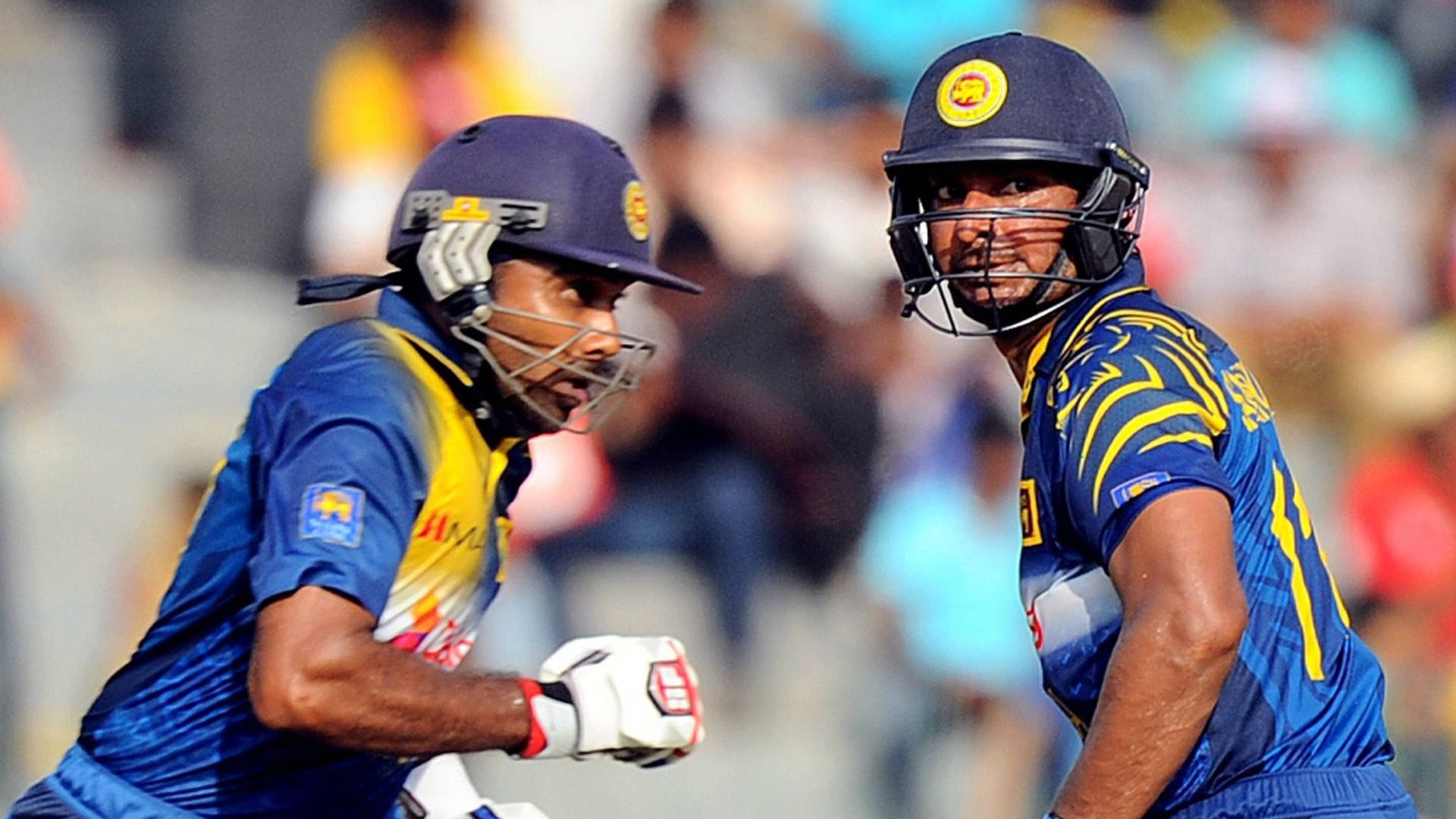 To sri lankiske cricket spillere fokuserer på skærmen Wallpaper