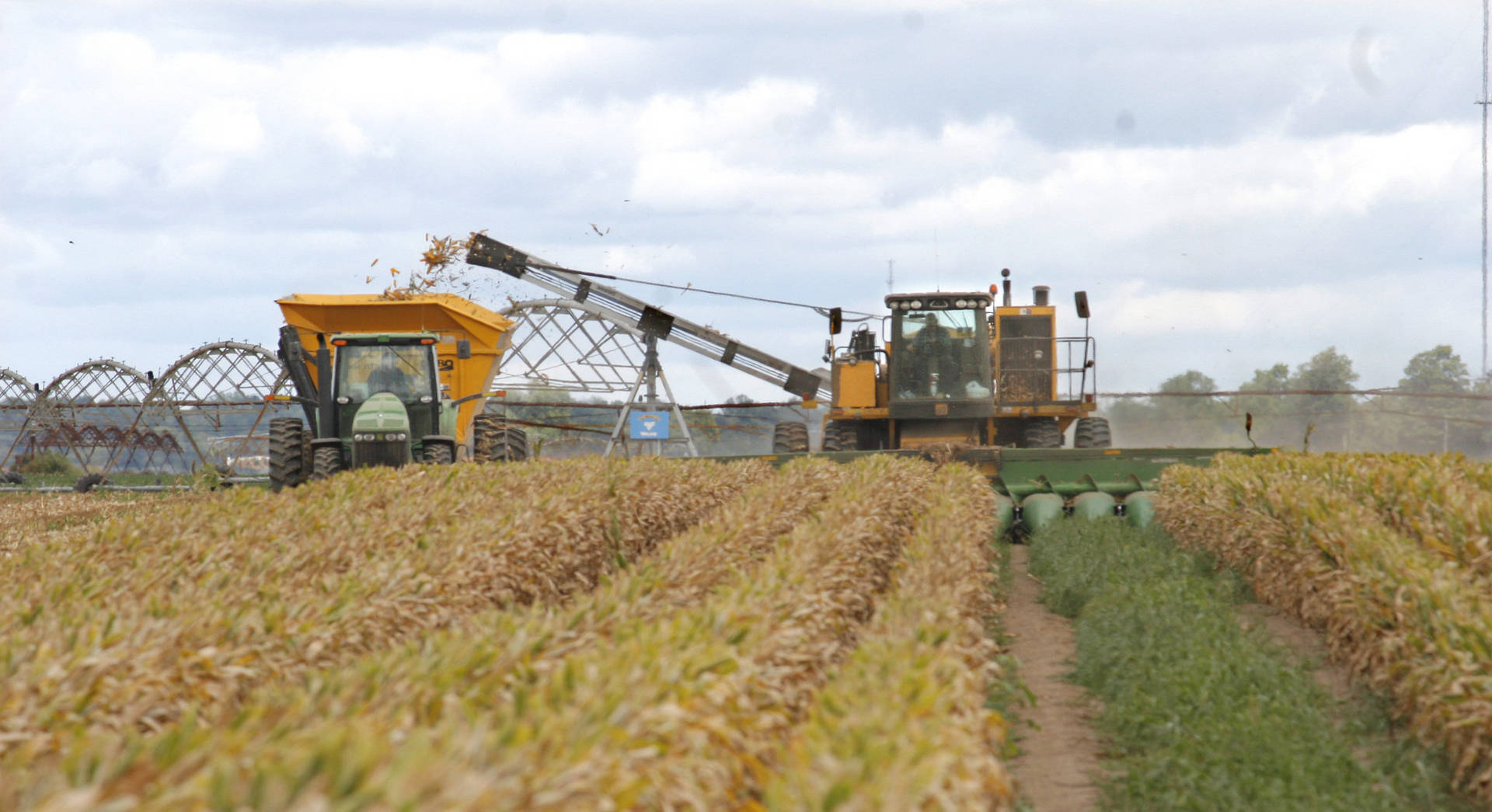 To Traktorer Høstning Af Afgrøder I et Mark Wallpaper