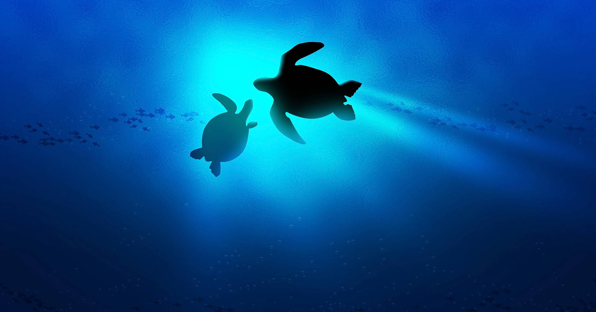 Two Turtles Silhouettes Wallpaper
