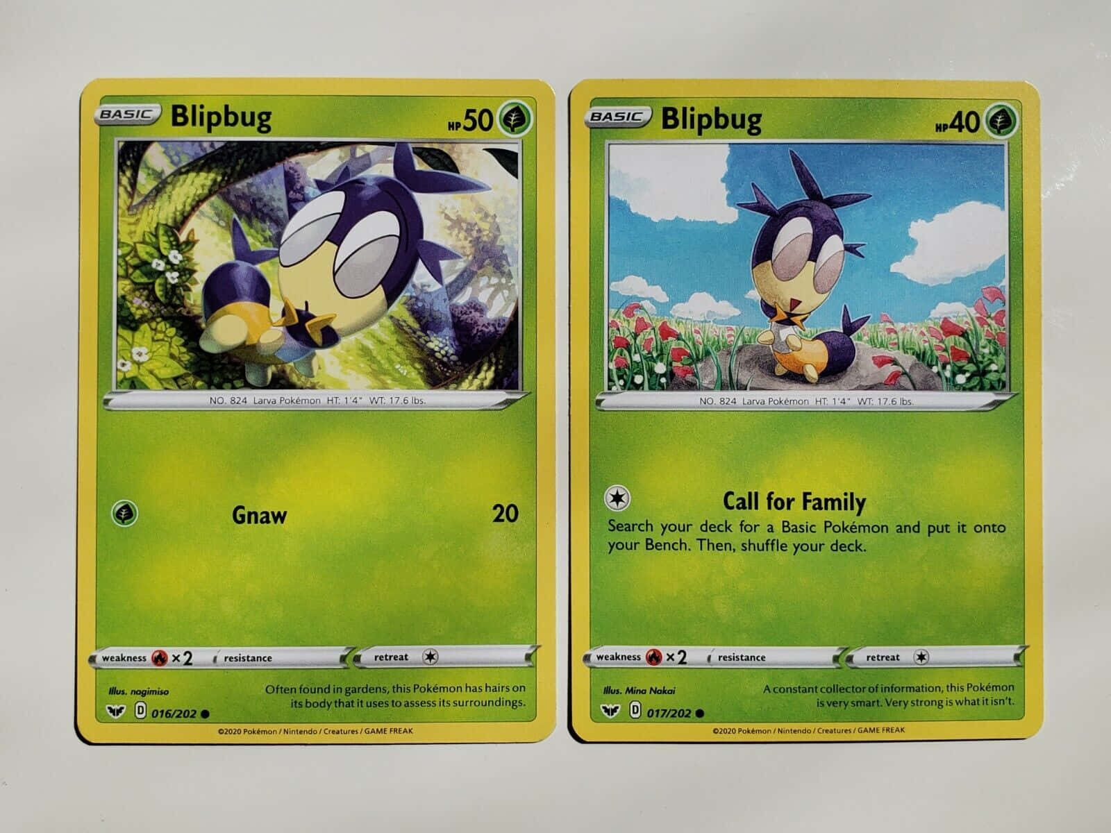 Two Types Of Pokémon Blipbug Card Wallpaper