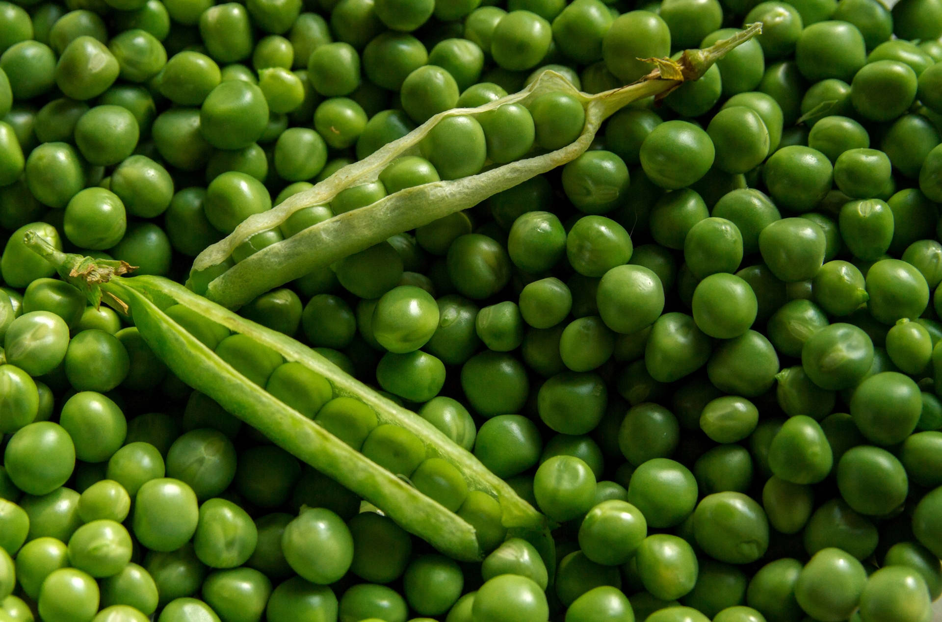 Two Vegetable Green Peas Pods Wallpaper