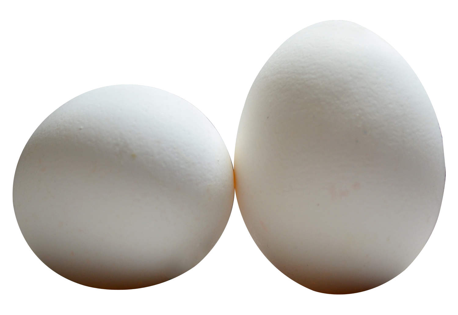 Two White Eggson Gray Background PNG