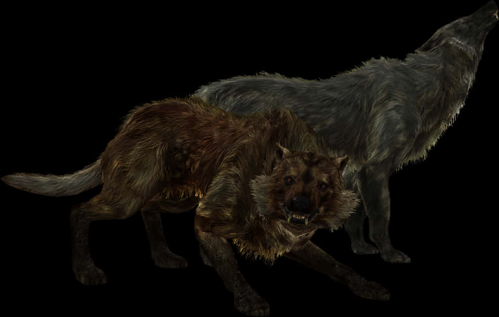 Two Wolves Standing Dark Background PNG