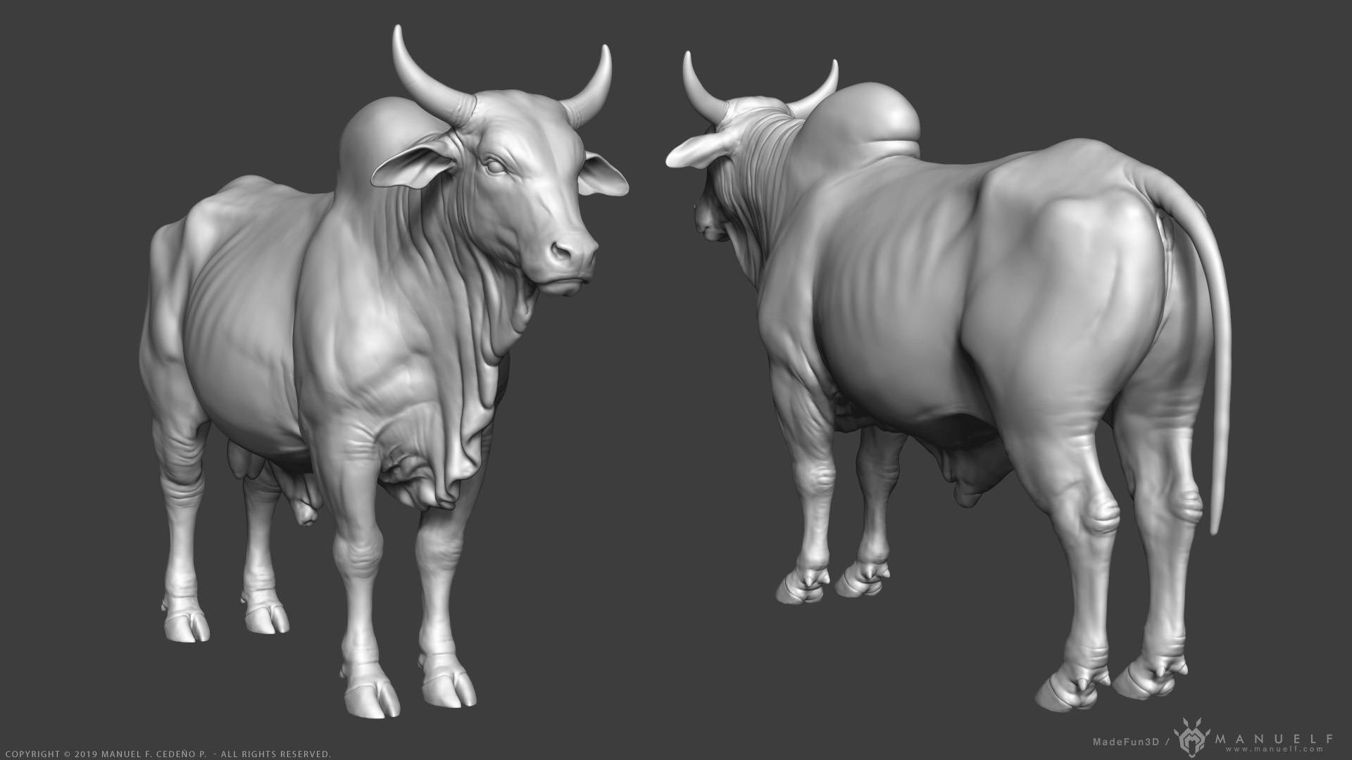 Two Zebu Cattle 3D Art Wallpaper