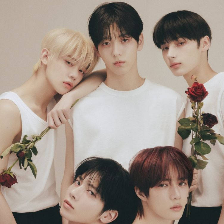 Txt Holding A Rose Wallpaper