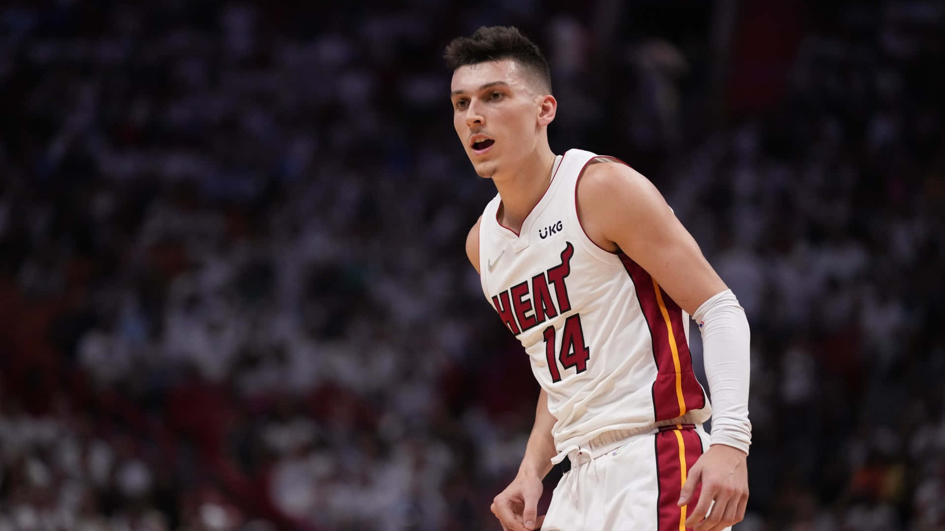 Tylerherro, Novato De Los Miami Heat Fondo de pantalla