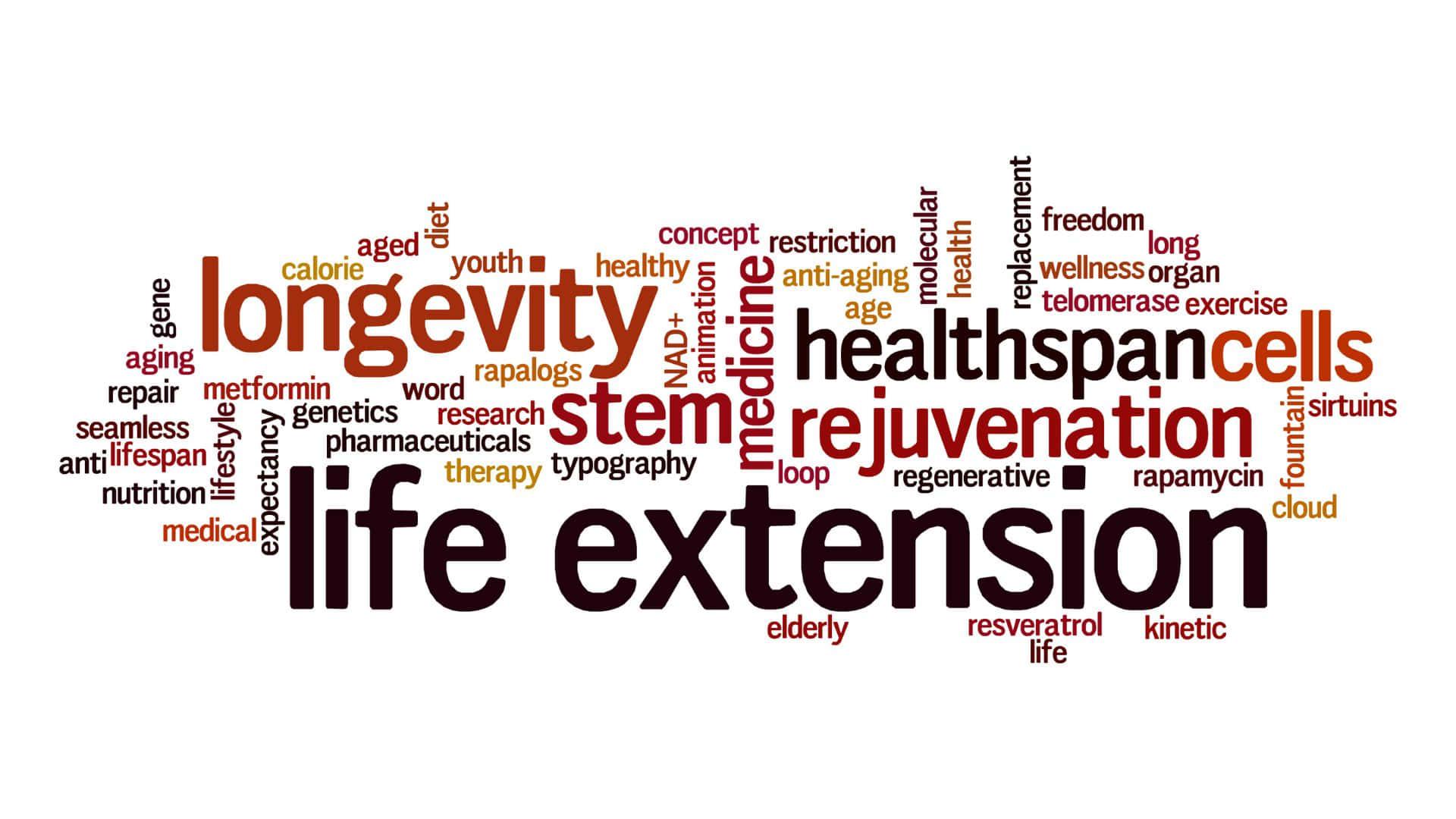 Life Extension Word Cloud