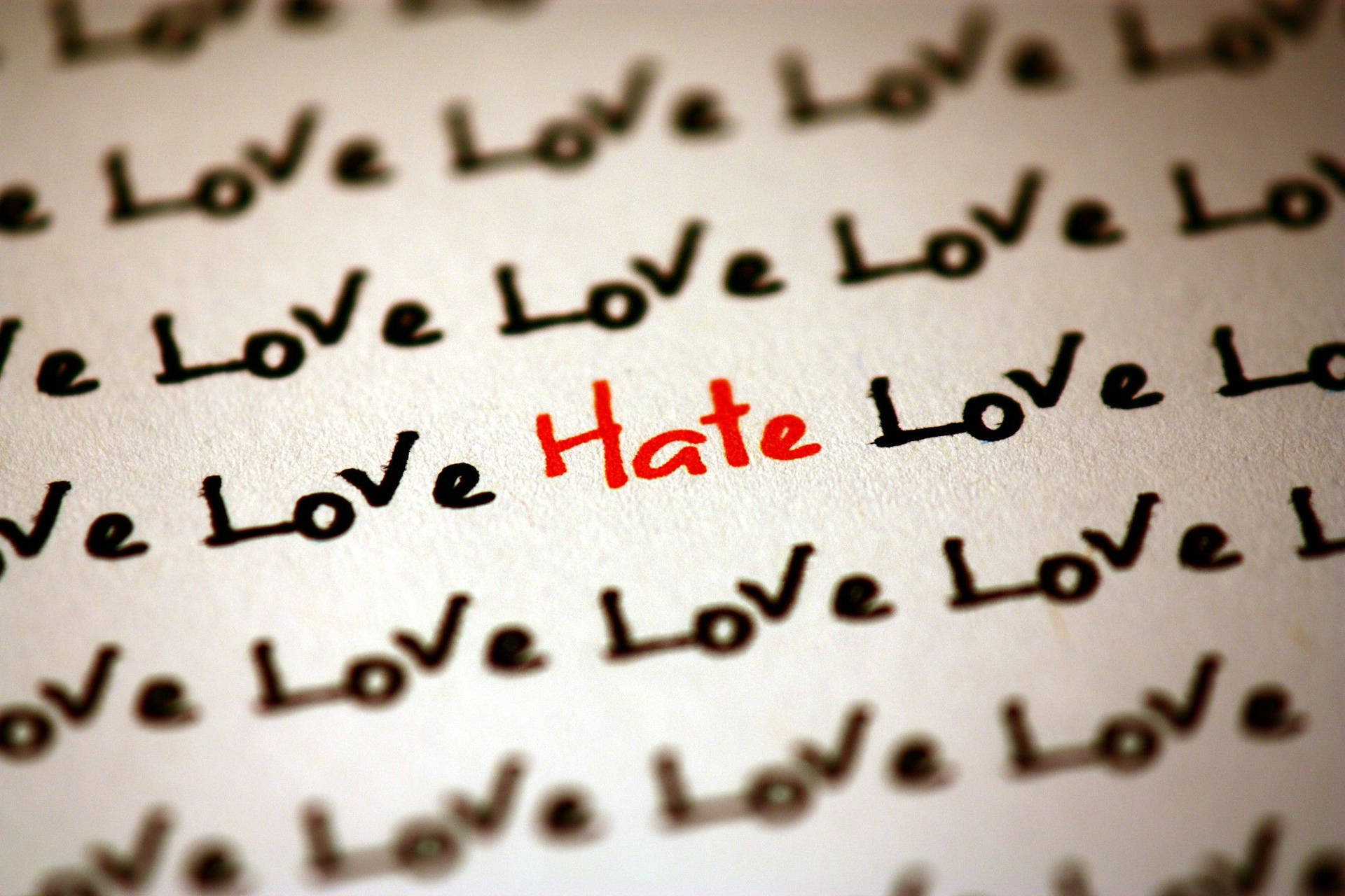 Typography Hate Love Wallpaper