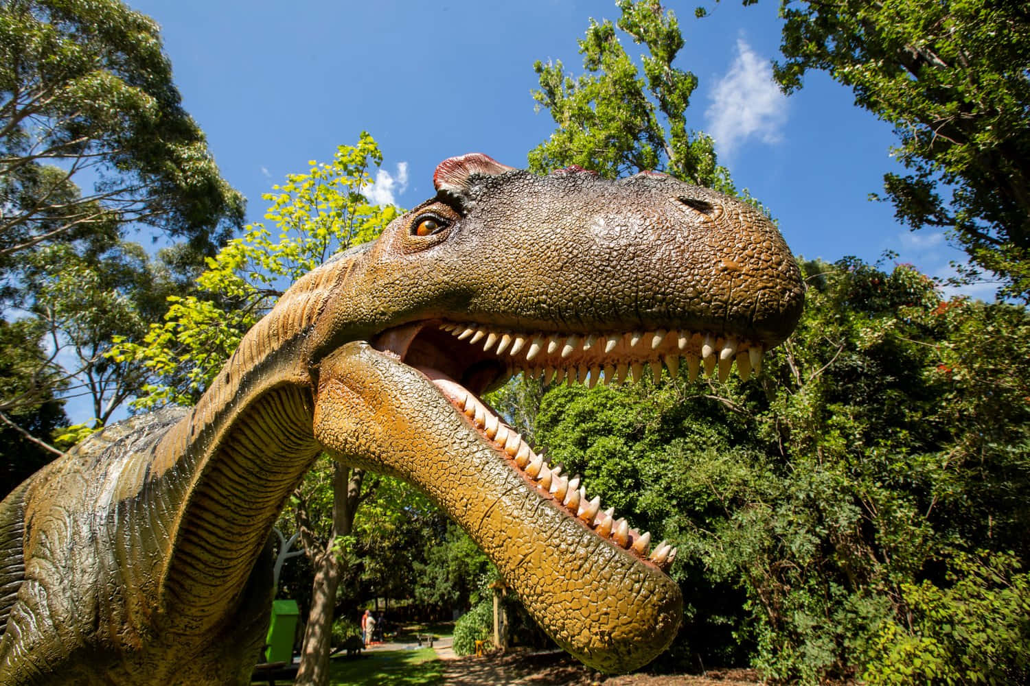 Tyrannosaurus Rex Tentoonstelling Melbourne Zoo Achtergrond