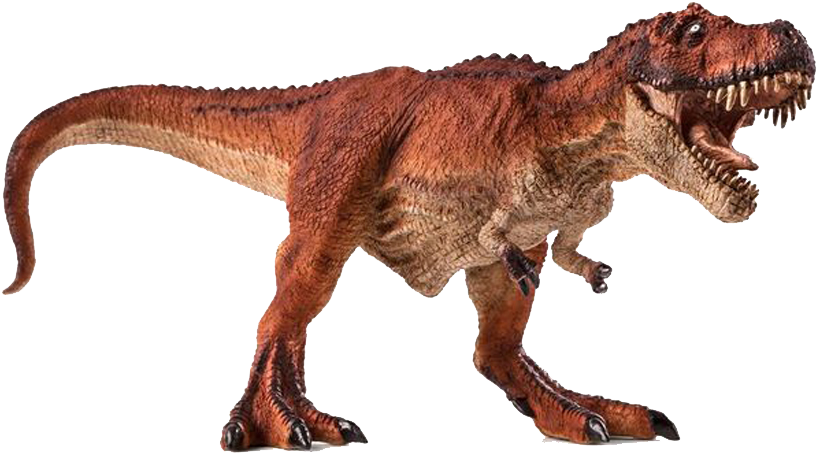 Tyrannosaurus Rex Full Body Profile PNG