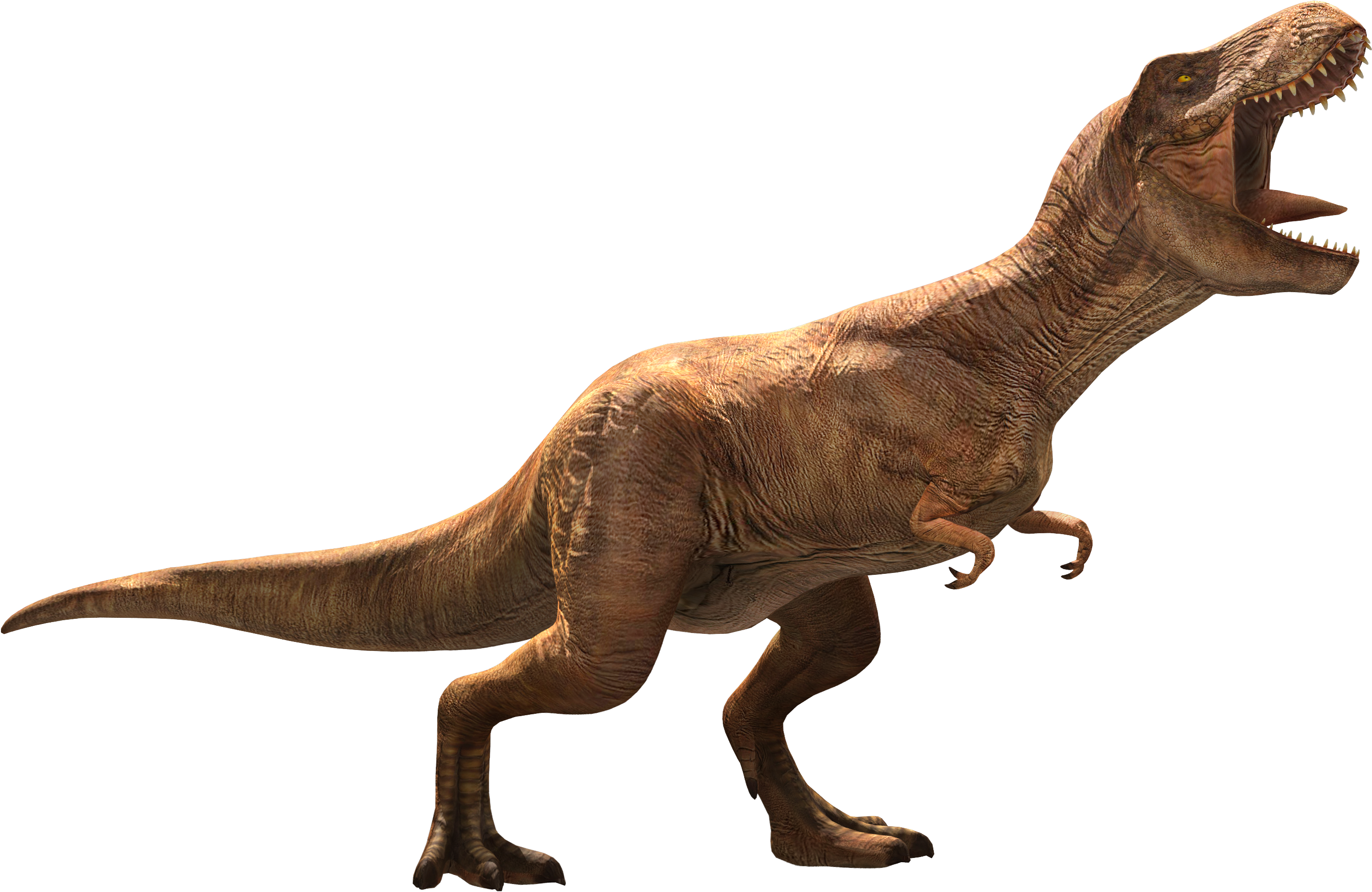 Tyrannosaurus Rex Full Body Render PNG