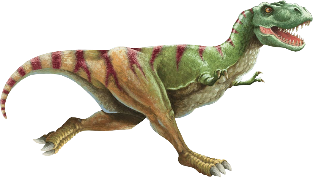 Tyrannosaurus Rex Illustration PNG