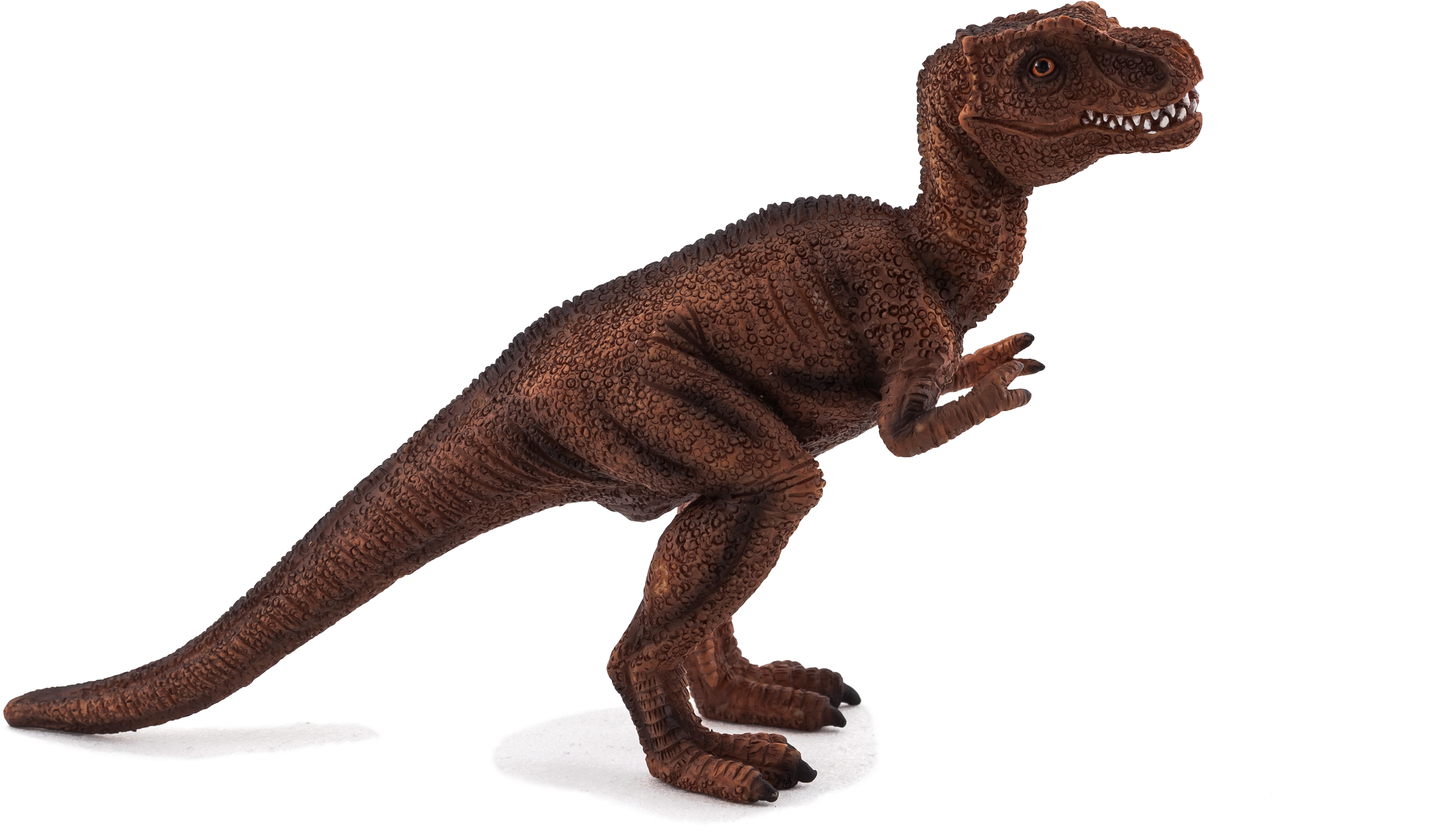 Tyrannosaurus Rex Model Pose PNG