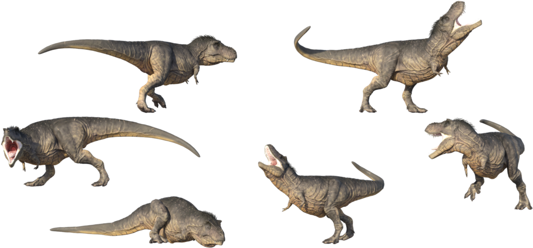 Tyrannosaurus Rex Poses Set PNG