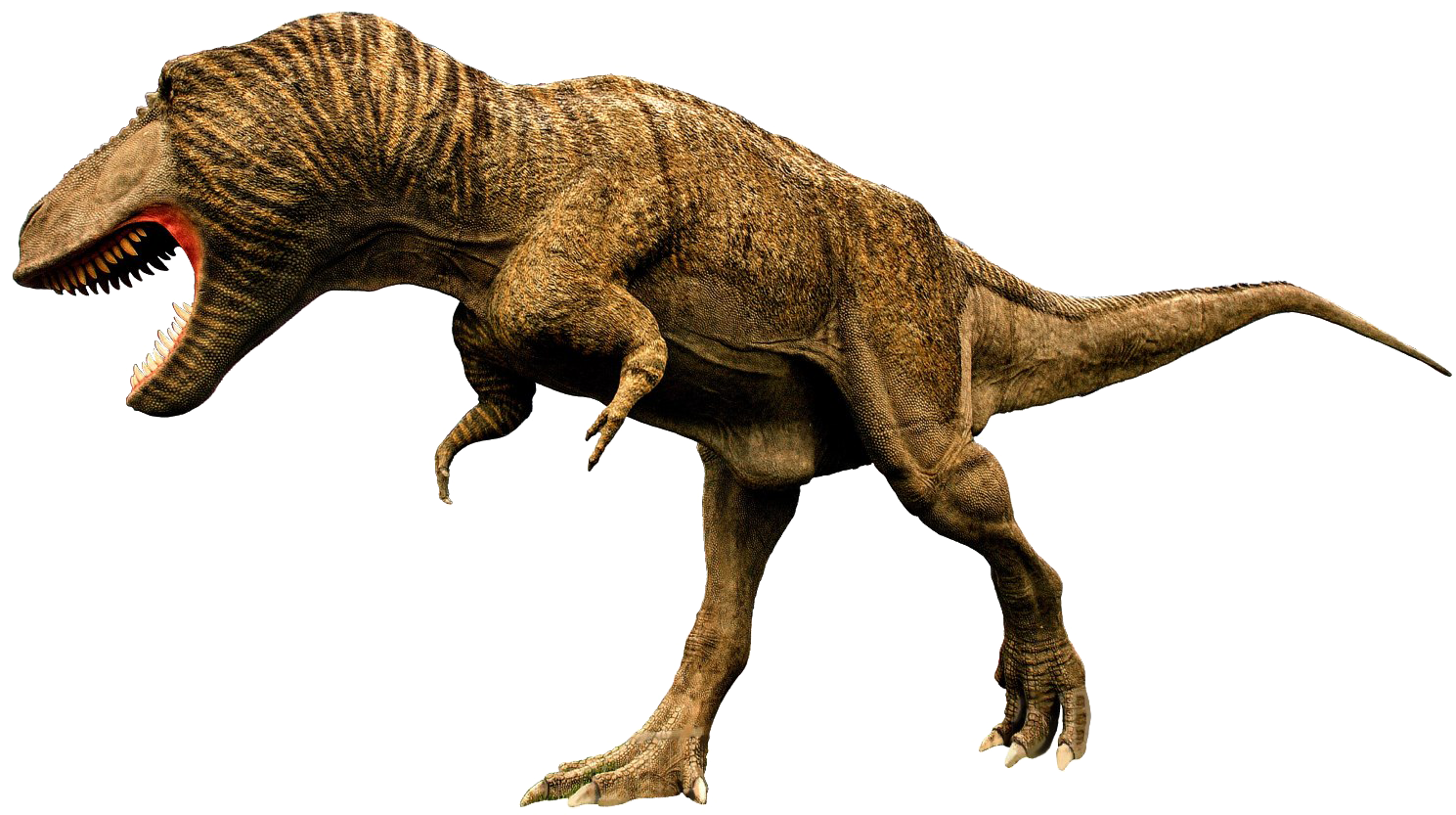Tyrannosaurus Rex Predatory Stance PNG