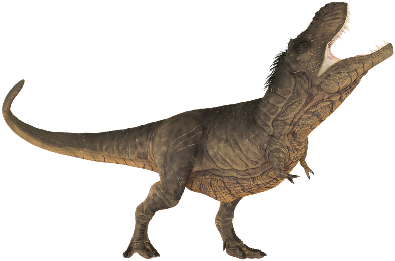 Tyrannosaurus Rex Roaring Pose PNG