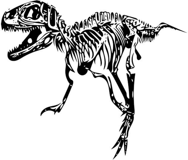 Tyrannosaurus Rex Skeleton Illustration PNG