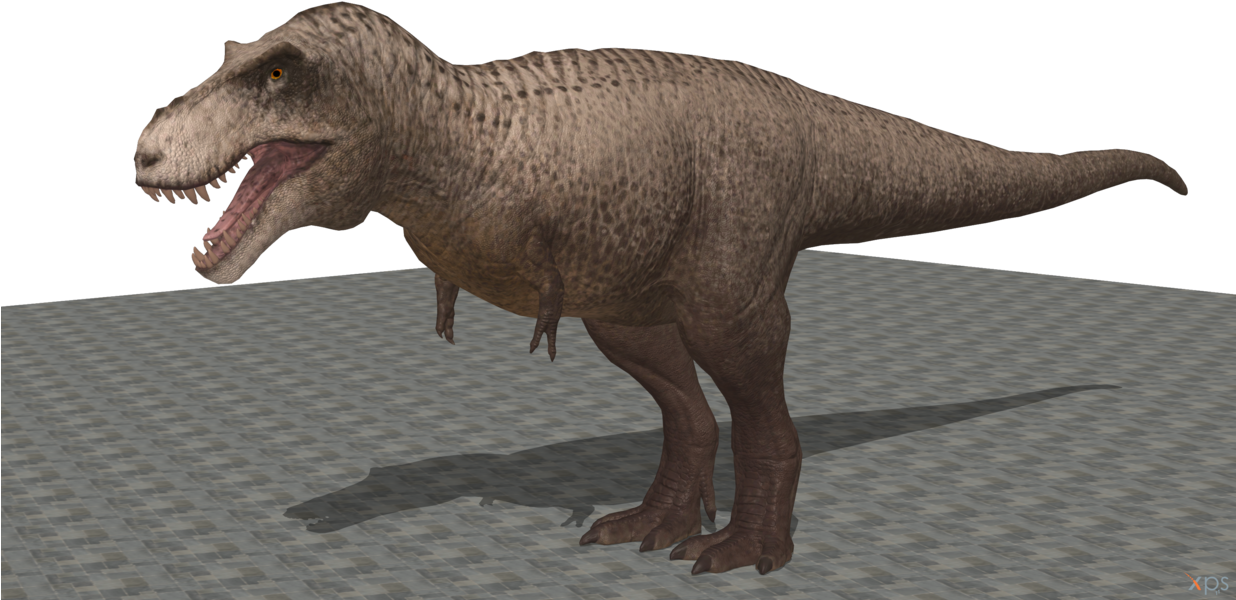 Tyrannosaurus Rex3 D Model PNG
