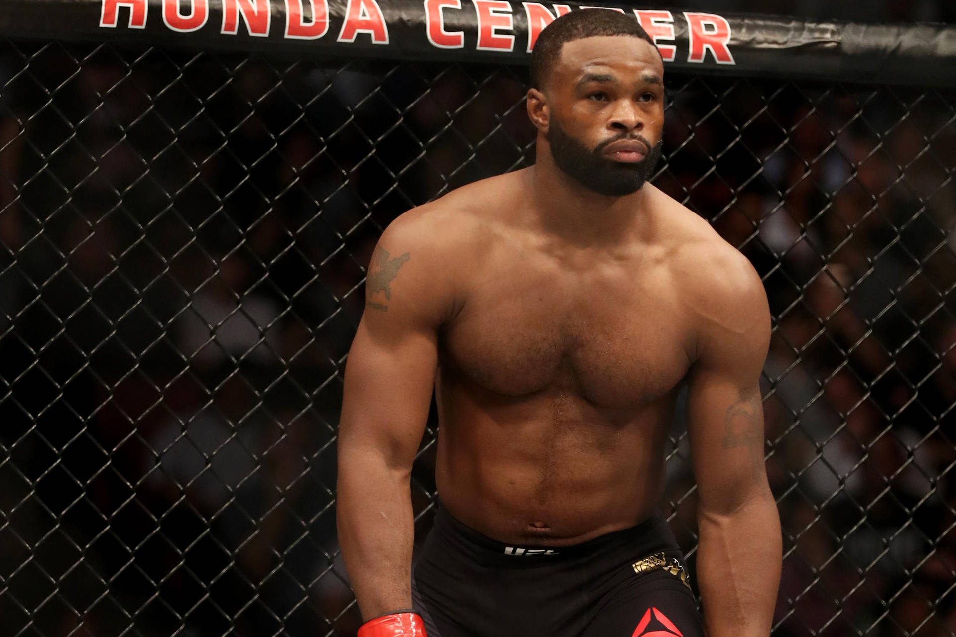 Tyron Woodley Ready To Fight Wallpaper