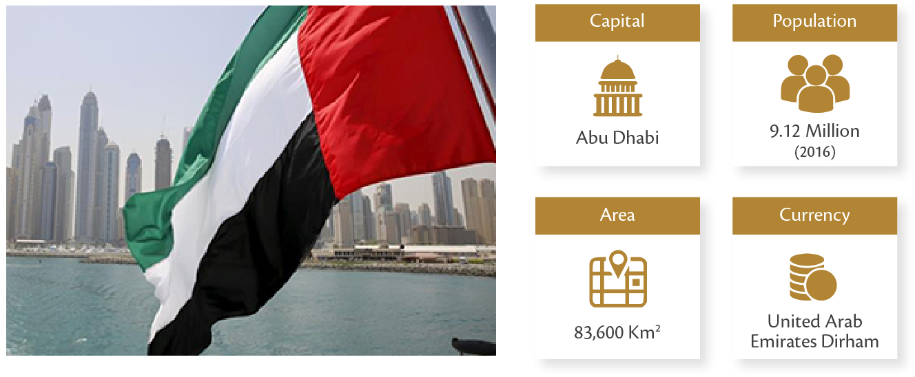 U A E Flag Dubai Skyline Infographic PNG