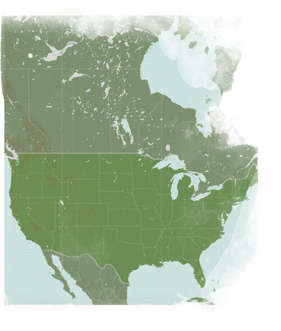 U S A Map Transparent Background PNG