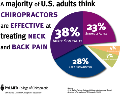 U S Adults Opinion Chiropractic Effectiveness PNG
