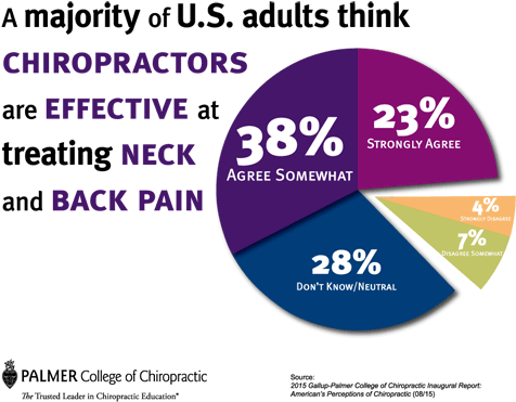 Download U S Adults Opinion Chiropractic Effectiveness | Wallpapers.com