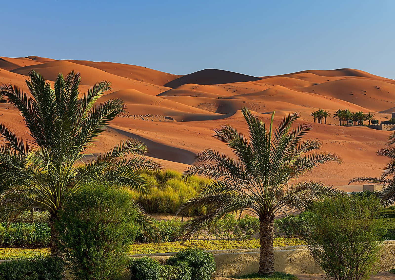 Take in the breathtaking views of the UAE