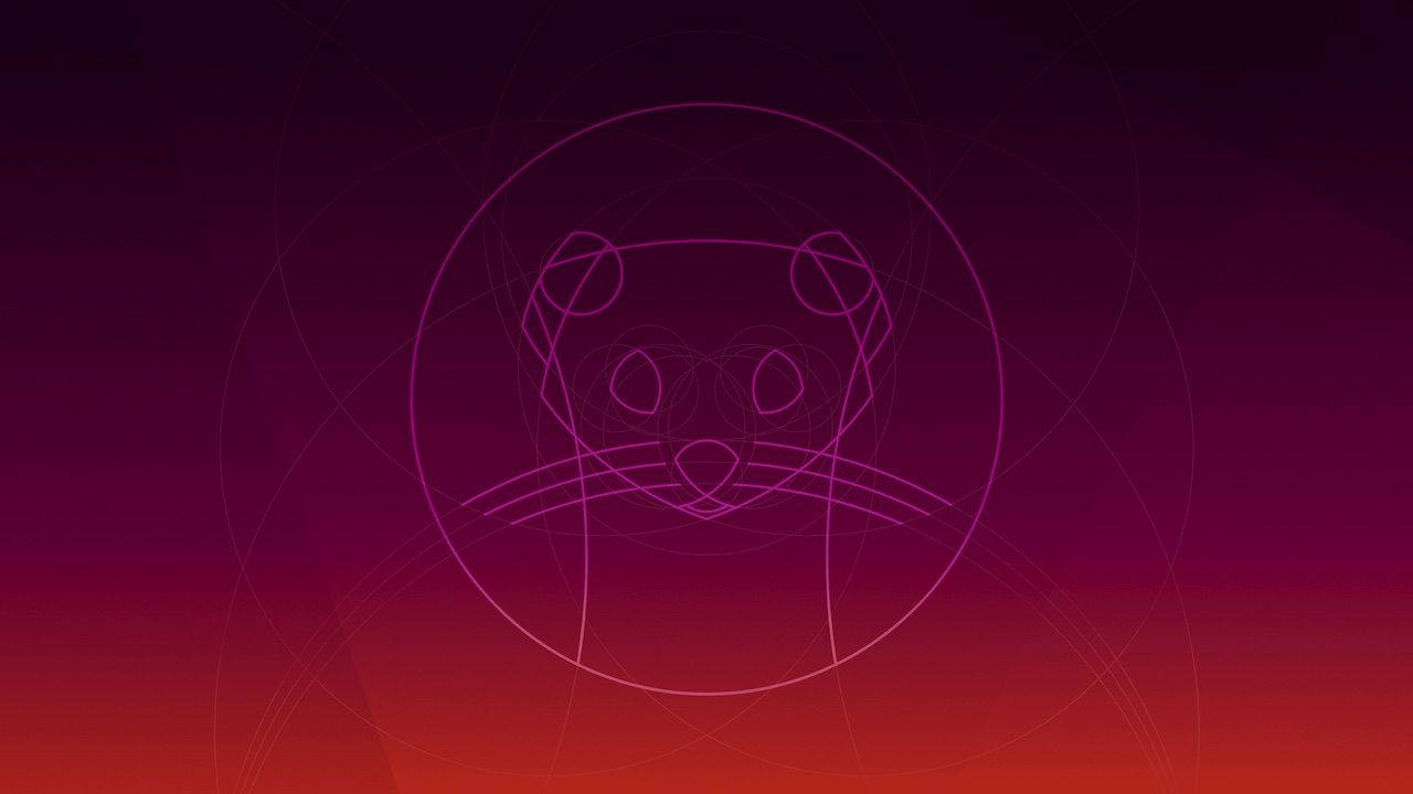 Ubuntu Focal Fossa Cat