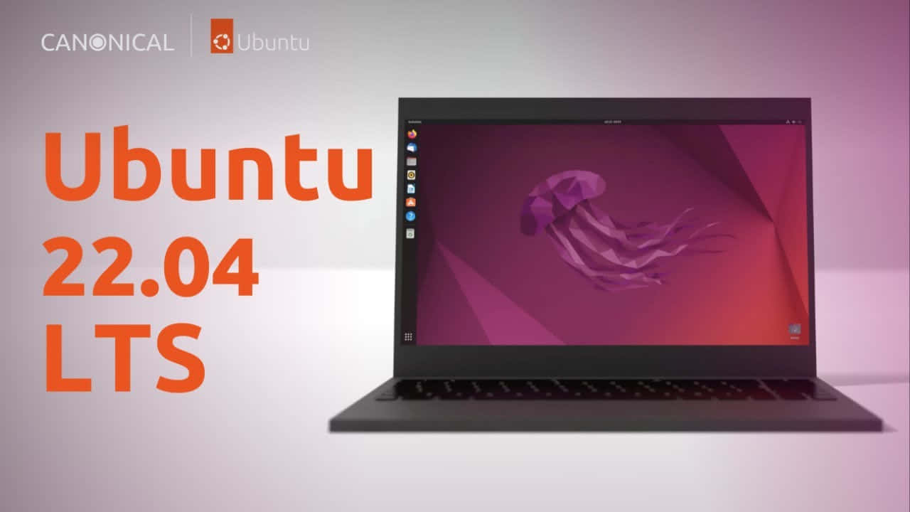 Gorgeous View of Ubuntu