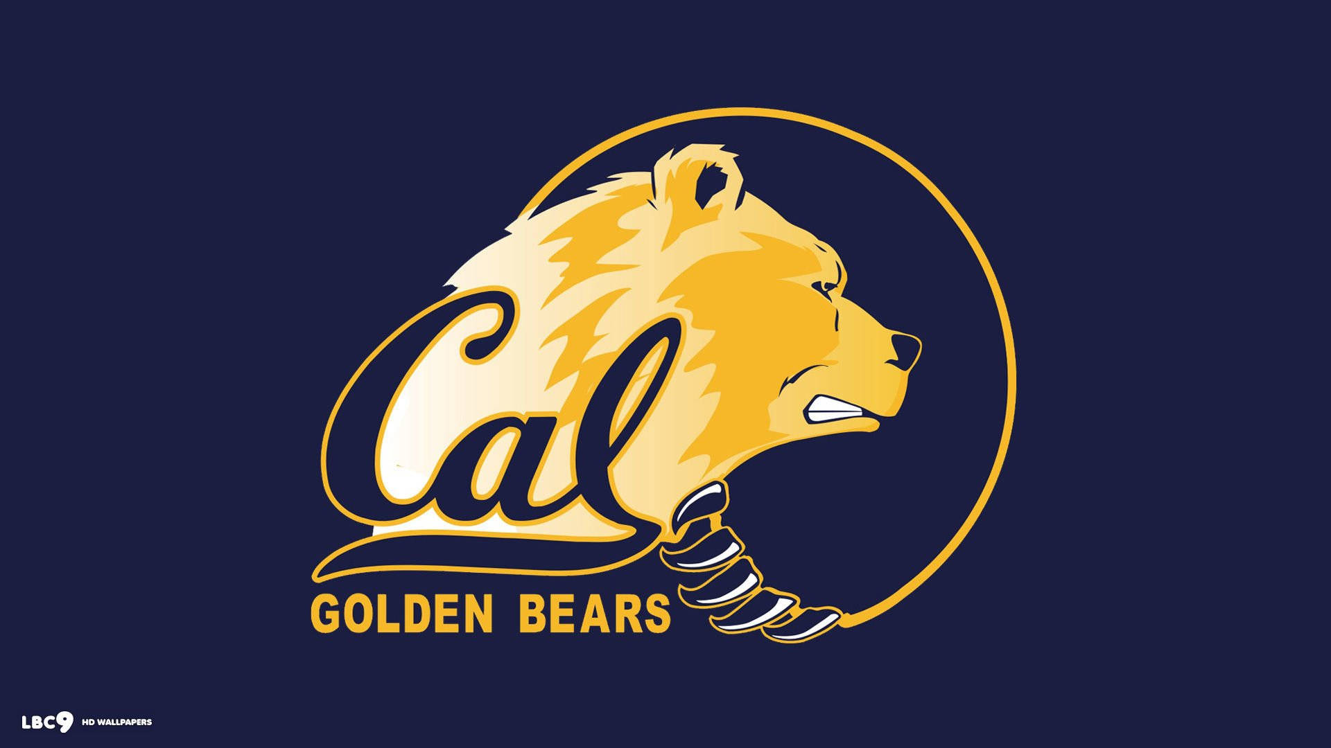 Ucb Golden Bears Flag Wallpaper