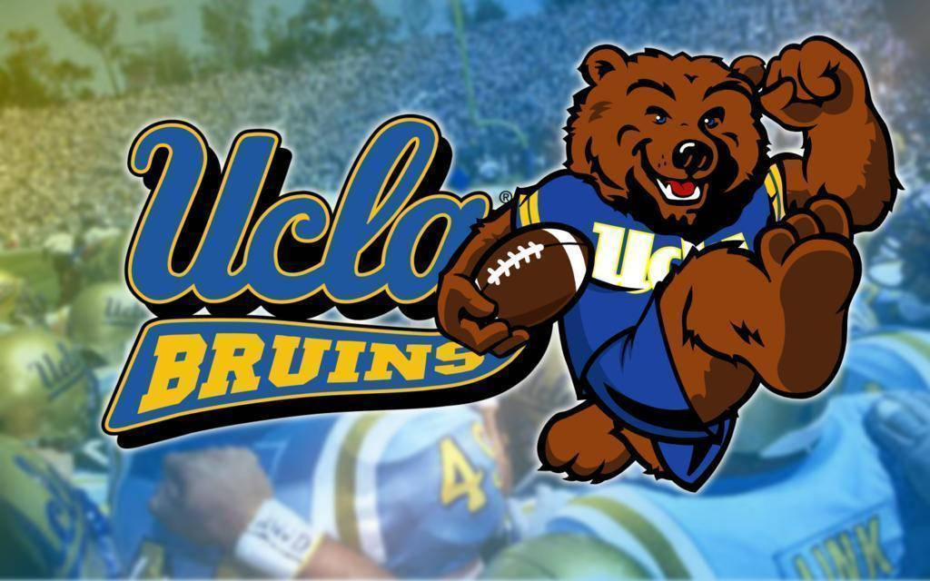 UCLA Bruins Brown Bear Wallpaper