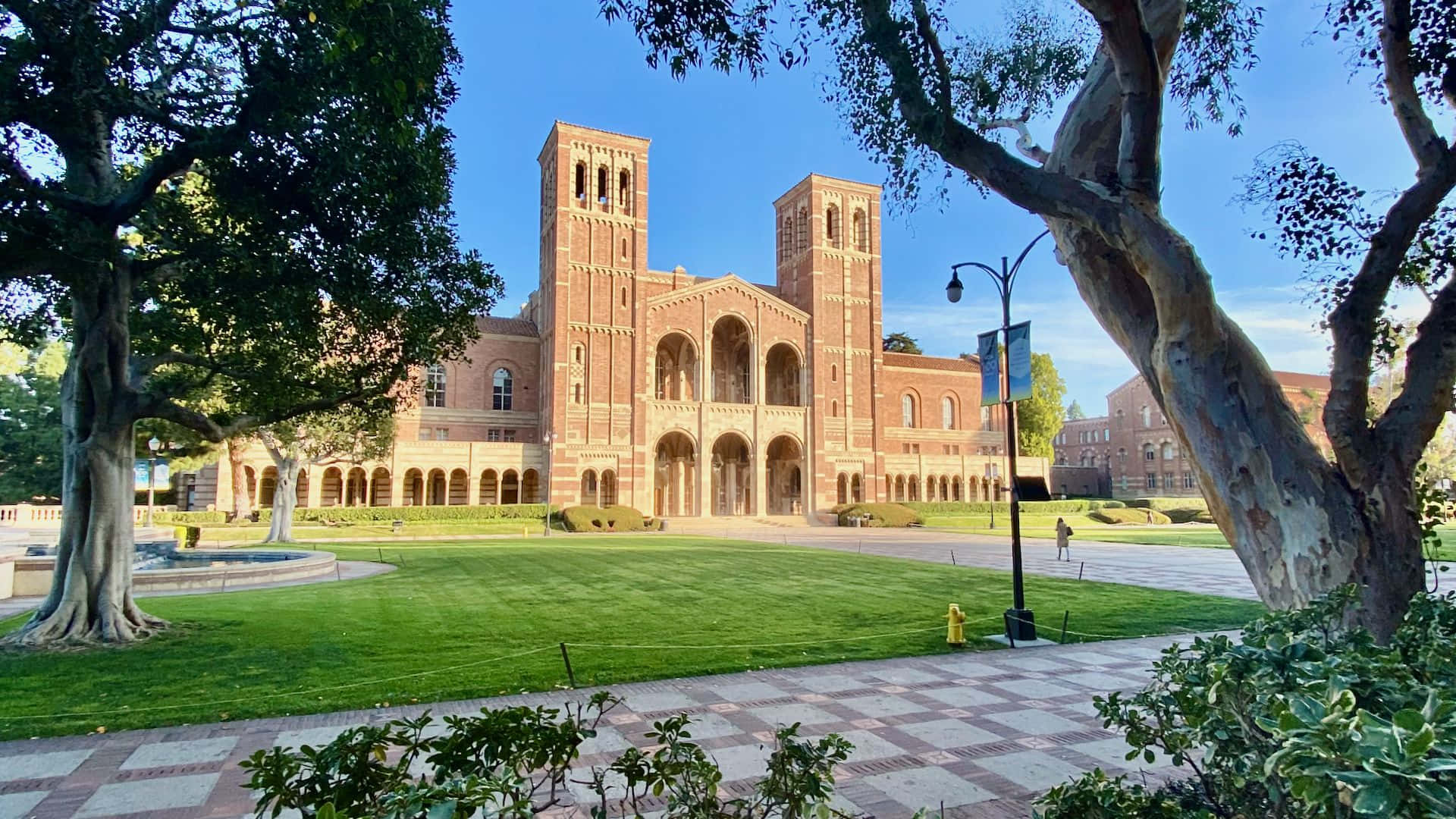 Tilbring dine morgener med at gå gennem UCLA's fantastiske campus Wallpaper