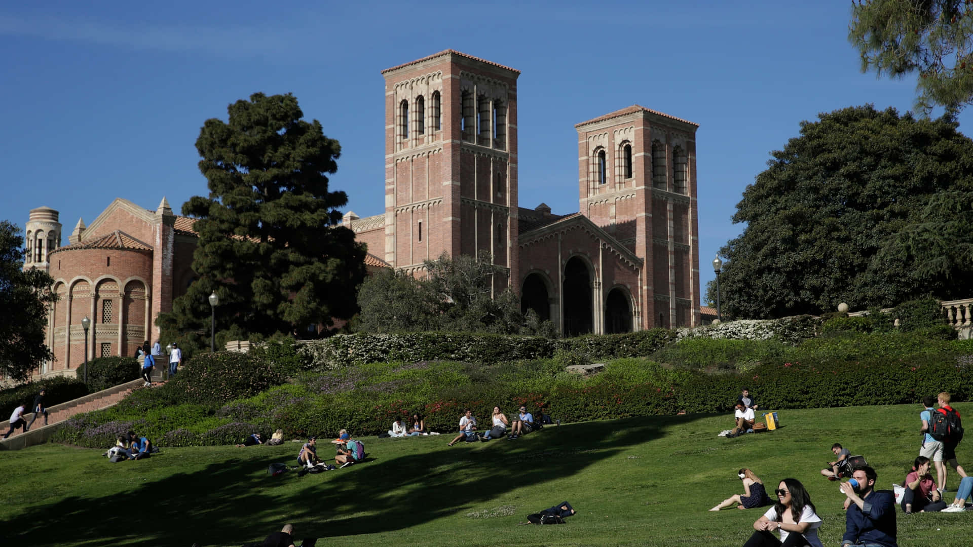 Explore the vibrant University of California Los Angeles (UCLA) campus Wallpaper