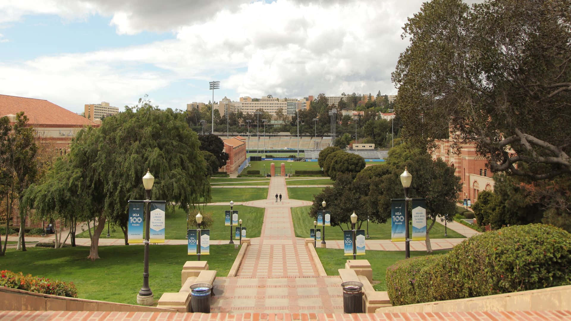 Et kig på UCLA Campus Wallpaper