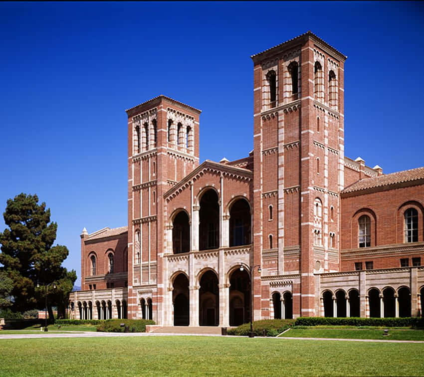 Enjoy the lively atmosphere of UCLA's stunning campus Wallpaper
