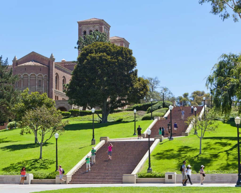 Det UCLA-campus, Los Angeles Wallpaper