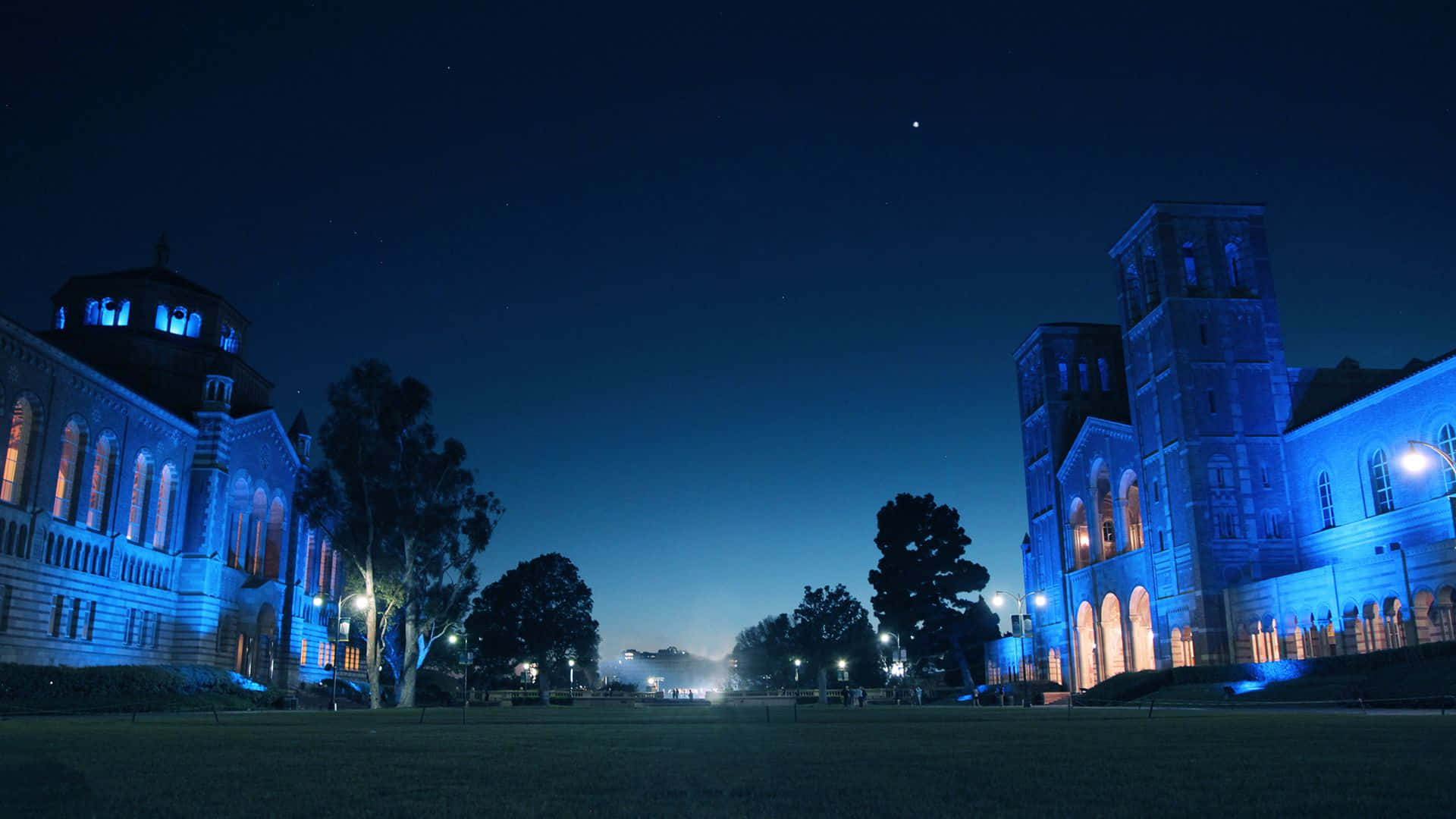 Take a stroll on UCLA campus for a fulfilling experience Wallpaper
