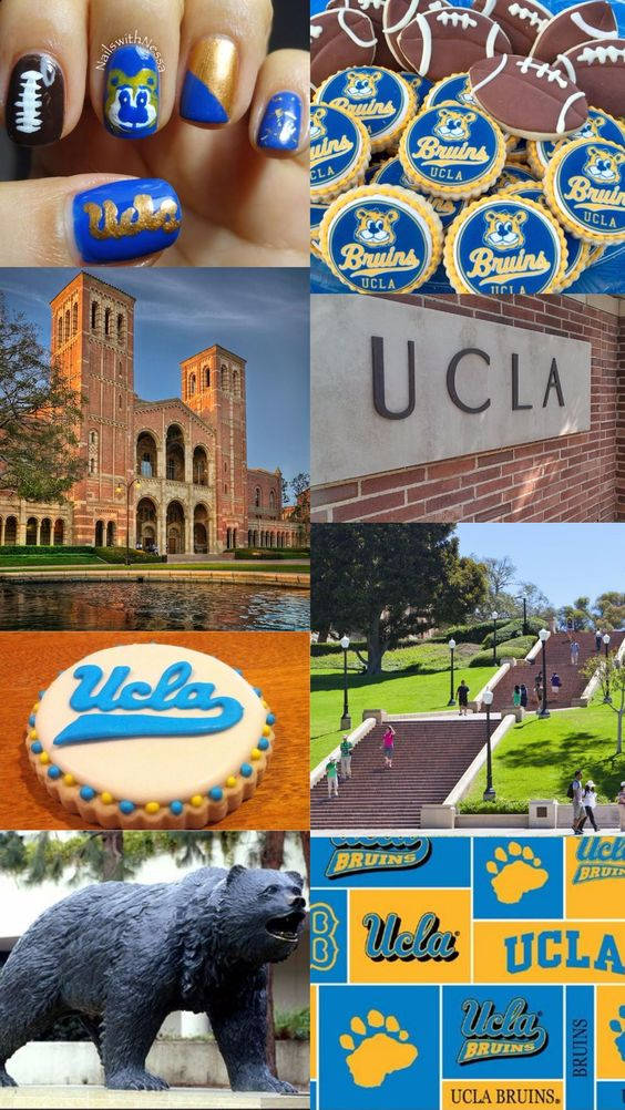 UCLA Collage Photos Wallpaper