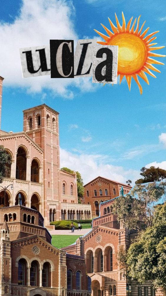 UCLA Sun Aesthetic Wallpaper