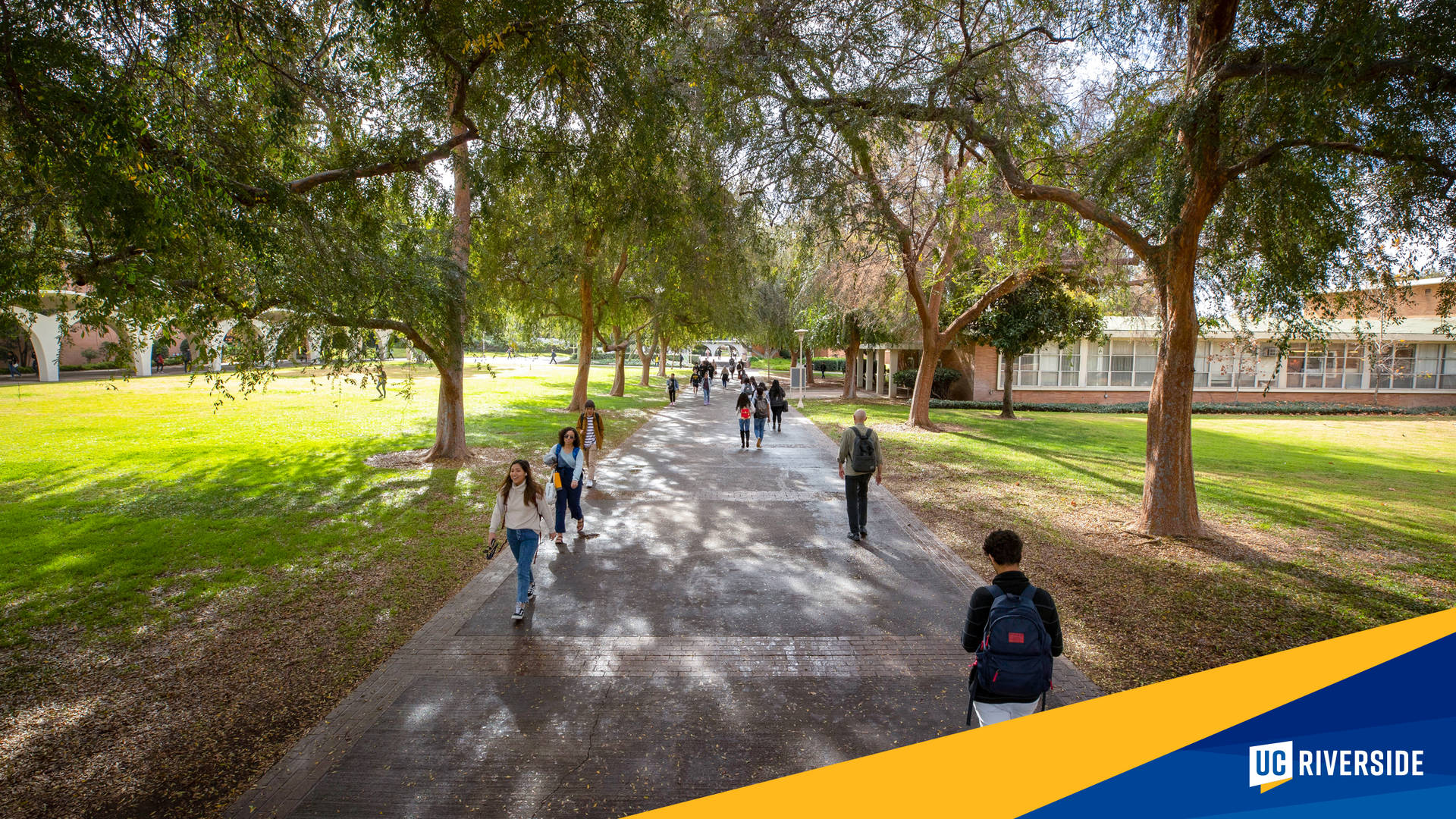 Ucr Pathway With Students Wallpaper