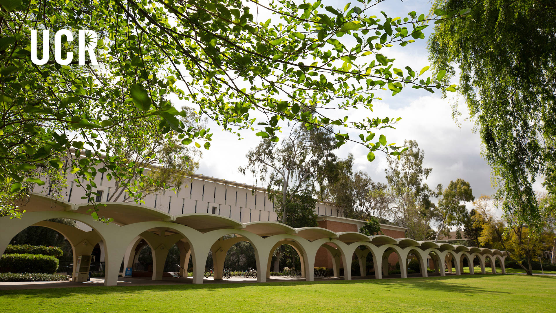 Ucr Tomás Rivera Library With Trees Wallpaper