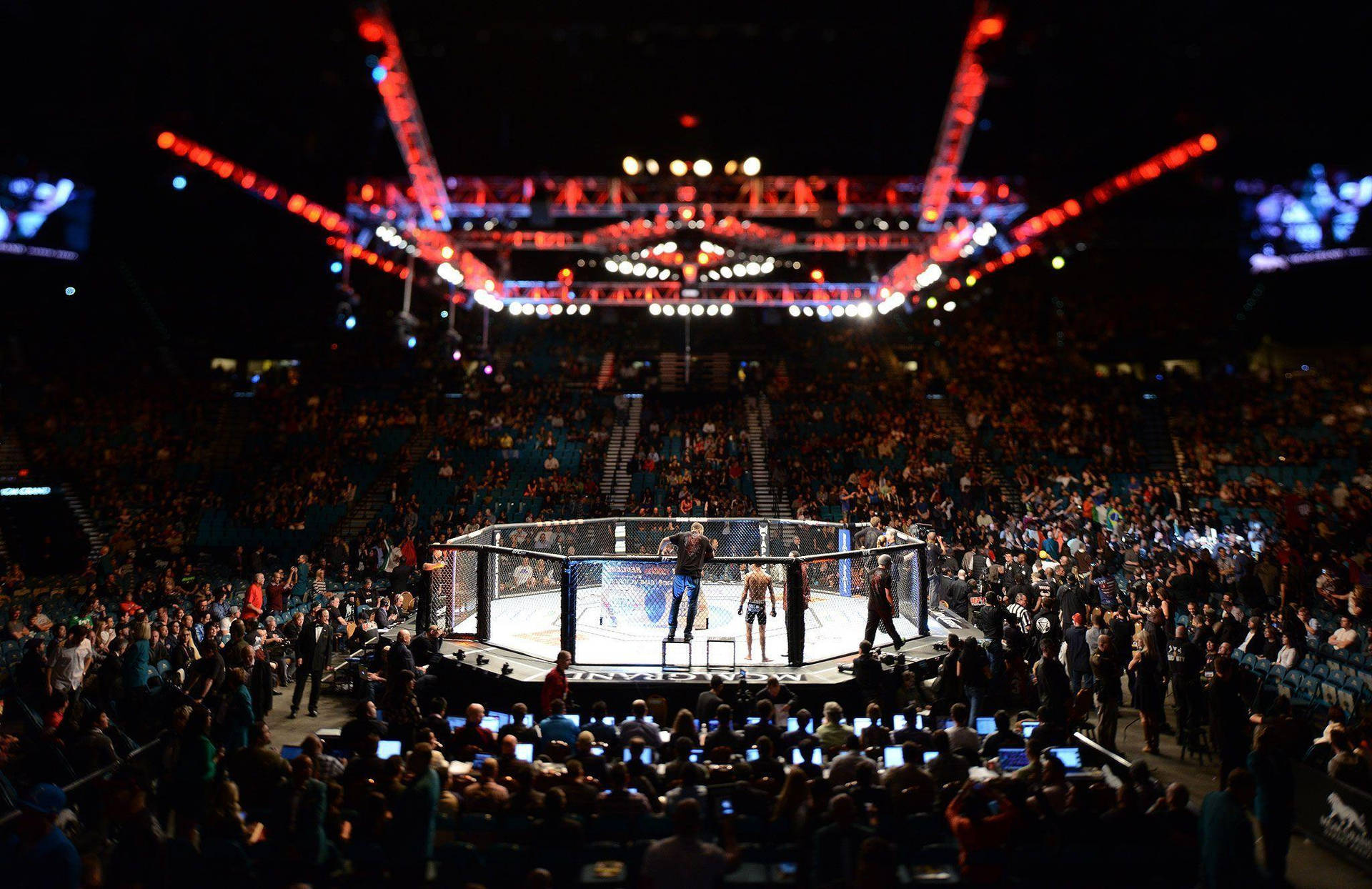 Ufcarena 4k In Spanish Would Be 