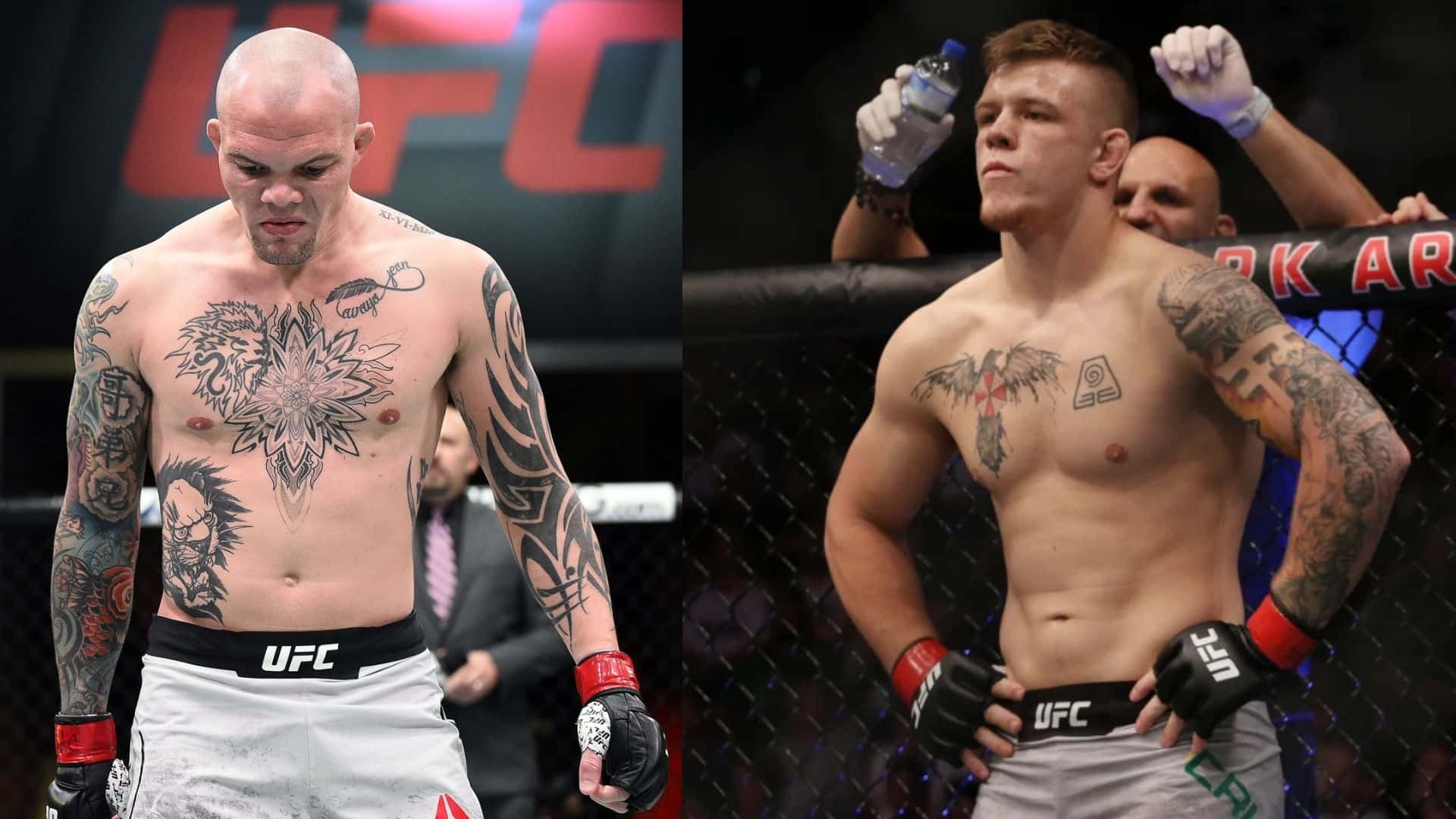 UFC Anthony Smith And Jimmy Crute Wallpaper