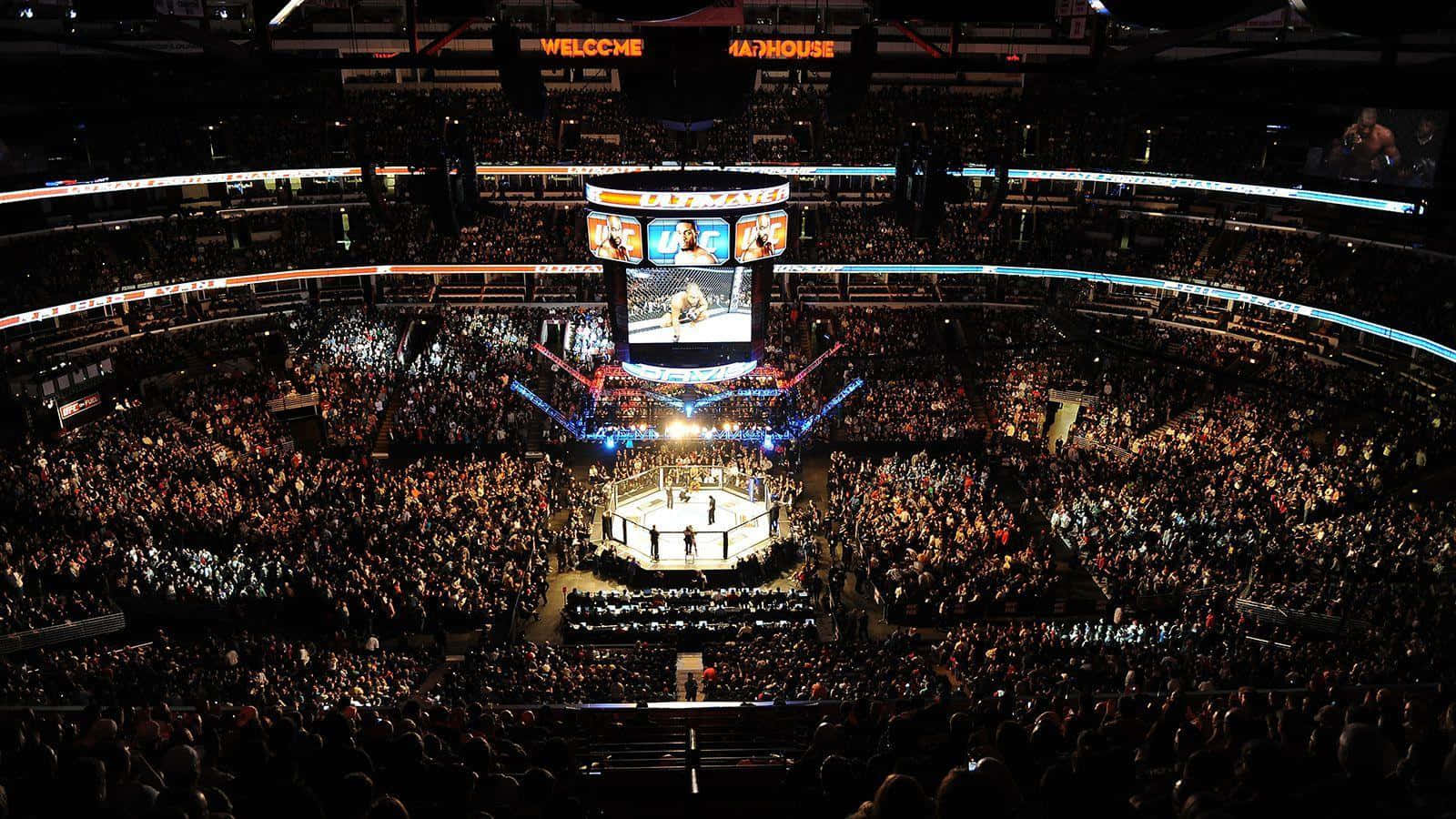 Unleash your passion with UFC